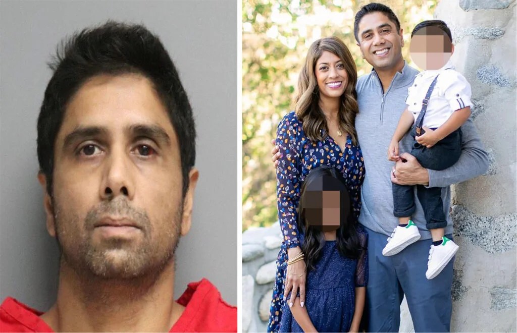 He Tried To Kill Us Says Wife Of Tesla Driver Dr. Dharmesh Patel