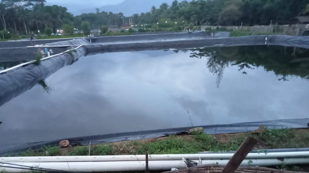 Warga Resah Tambak Udang Terus Bertambah, Bukti Pemkab Trenggalek Tidak Serius Hadapi Perusakan Lingkungan 2 Bekas Tambak Udang di Munjungan Jadi Sarang Nyamuk, Warga Resah