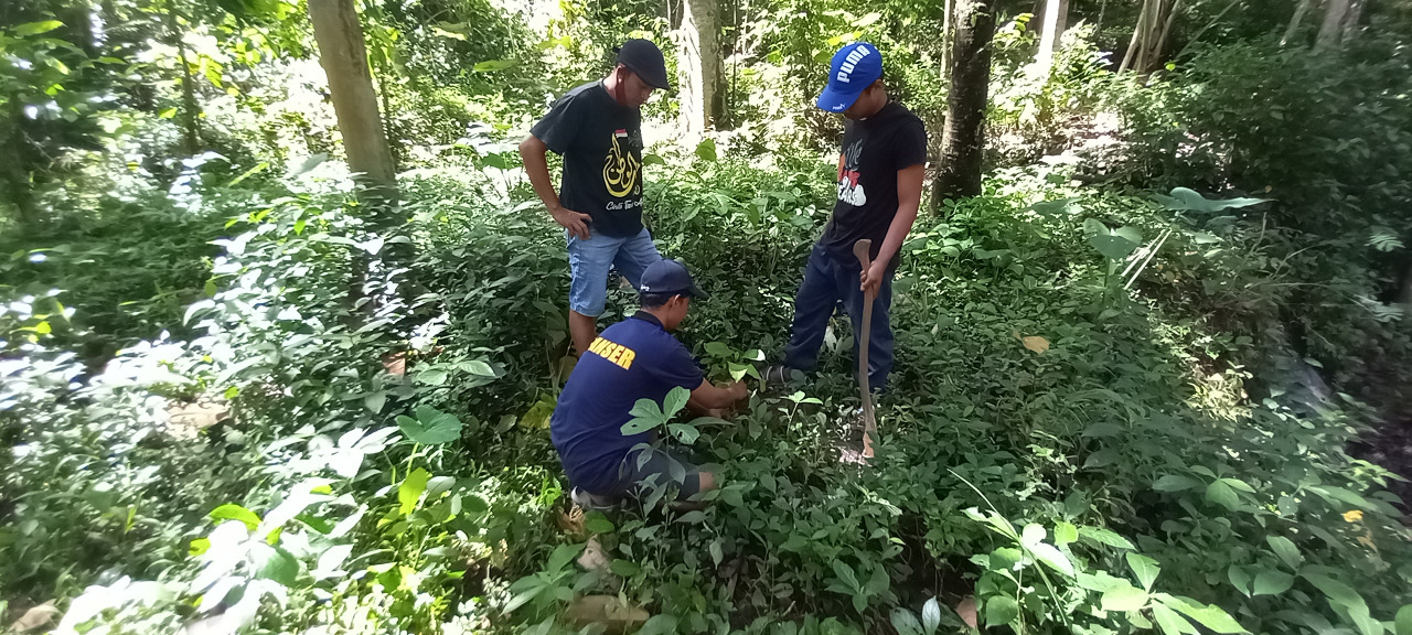Jokowi Berkunjung ke Trenggalek, Warga Kampak Suarakan Tolak Tambang Emas 2 Aksi tanam pohon oleh warga Kecamatan Kampak, Trenggalek