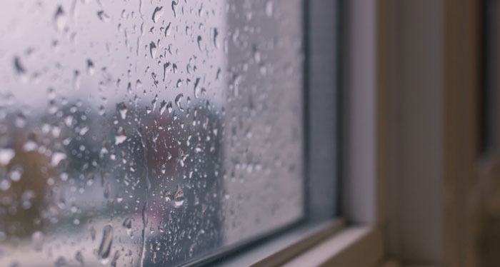 Hujan dari balik jendela
