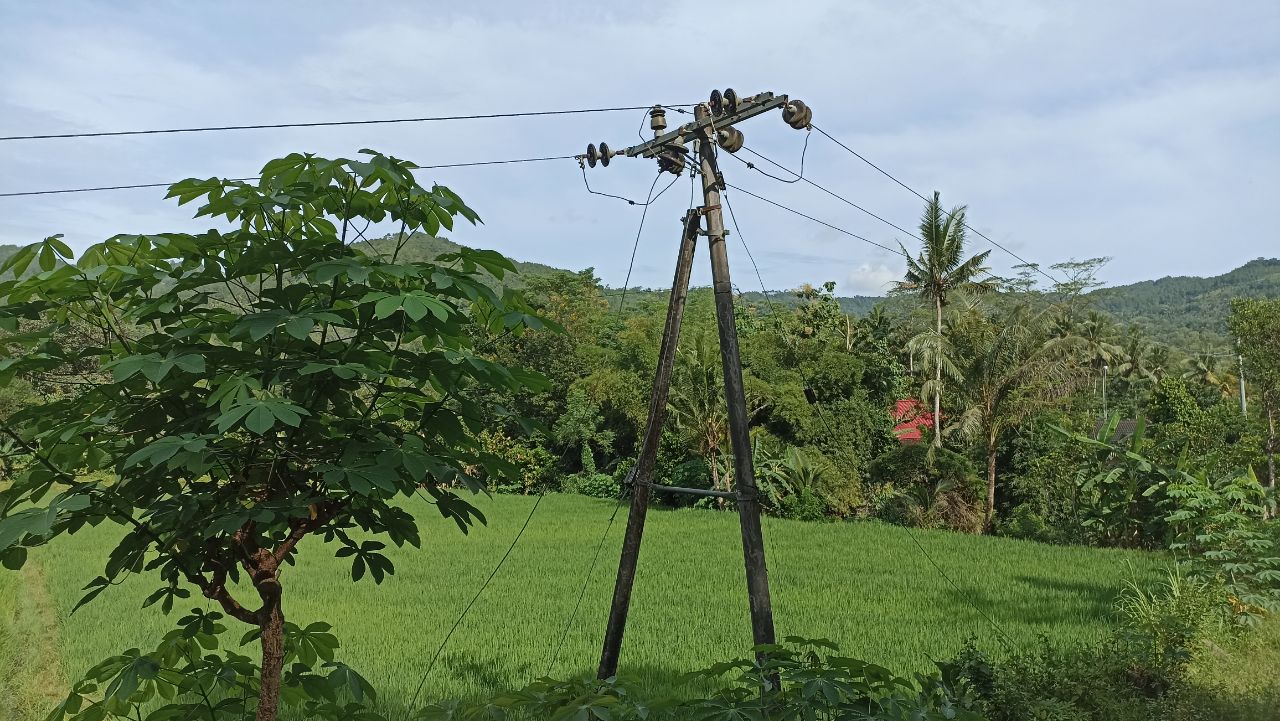 Tiang listrik di Kecamatan Tugu, Kabupaten Trenggalek
