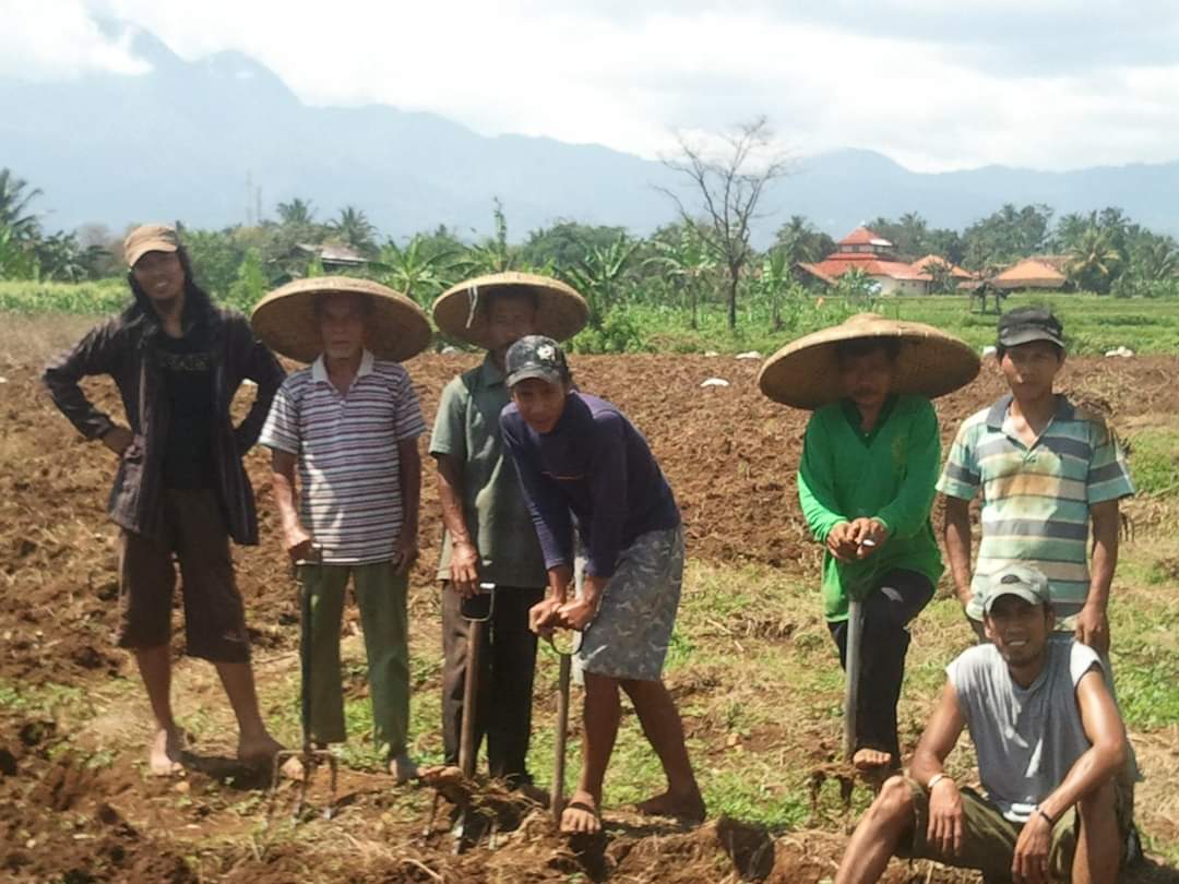 Kisah Jhe Mukti, Aktivis Tolak Tambang Emas dengan Gagasan Ekonomi Berkelanjutan 6 Jhe Mukti (kiri) bersama para petani jagung di Malang