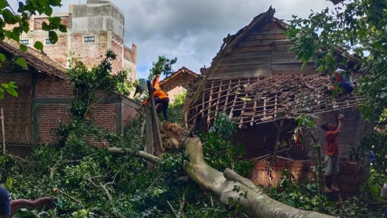 Rumah warga yang tertimpa pohon di Desa Sumberejo, Kecamatan Durenan, Trenggalek
