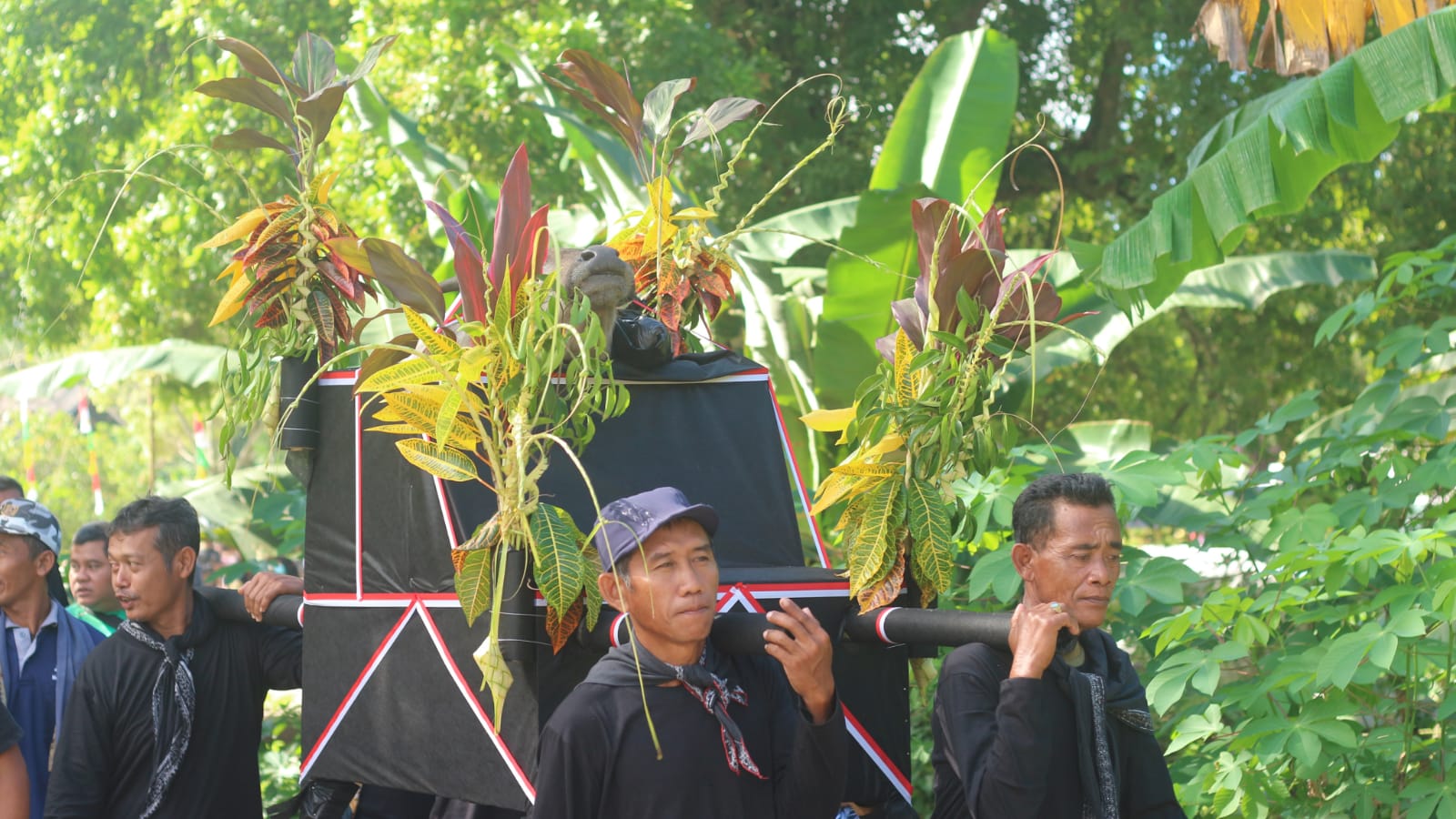 Wujud Syukur, Petani Trenggalek Larung Kepala Kerbau di Dam Bagong 1 Warga Kelurahan Ngantru membopong kepala kerbau untuk dilarung
