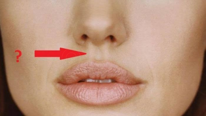 Apa fungsi lekukan di antara hidung dan bibir kita
