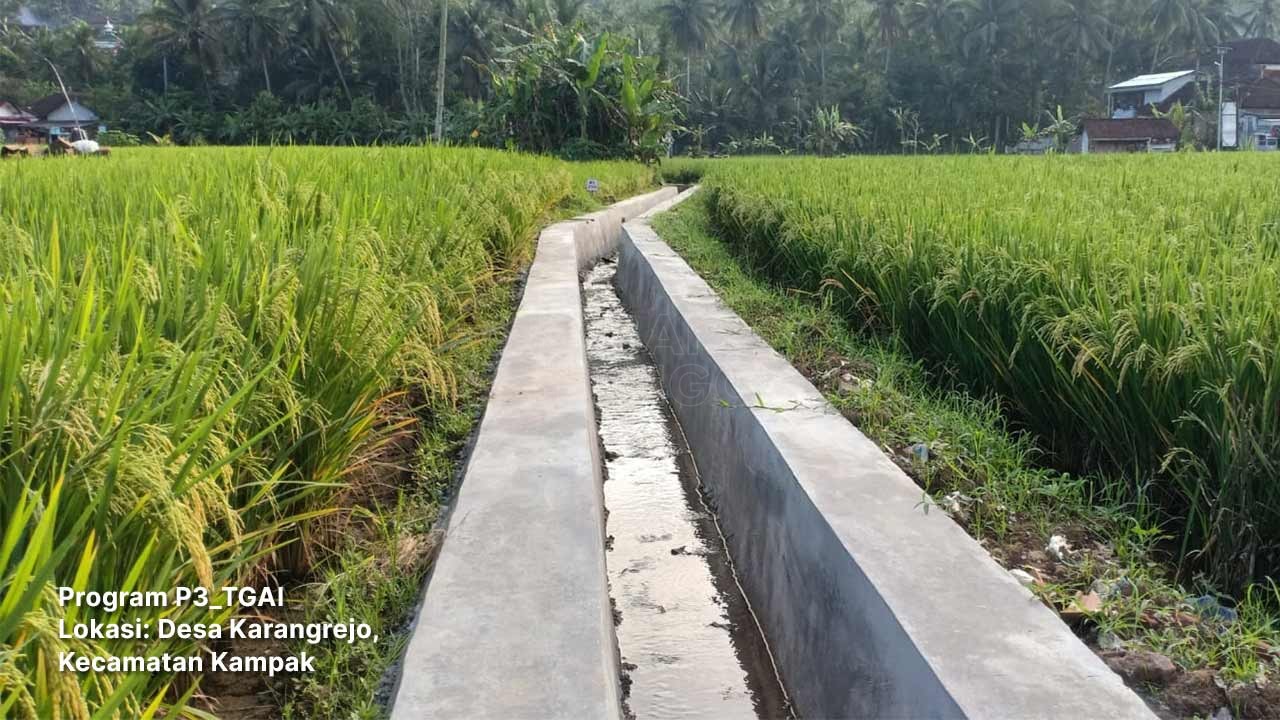 Terkendala Air, Program P3-TGAI Trenggalek Dorong Petani Makmur 7 P3 TGAI Karangrejo Kampak Trenggalek.jpg