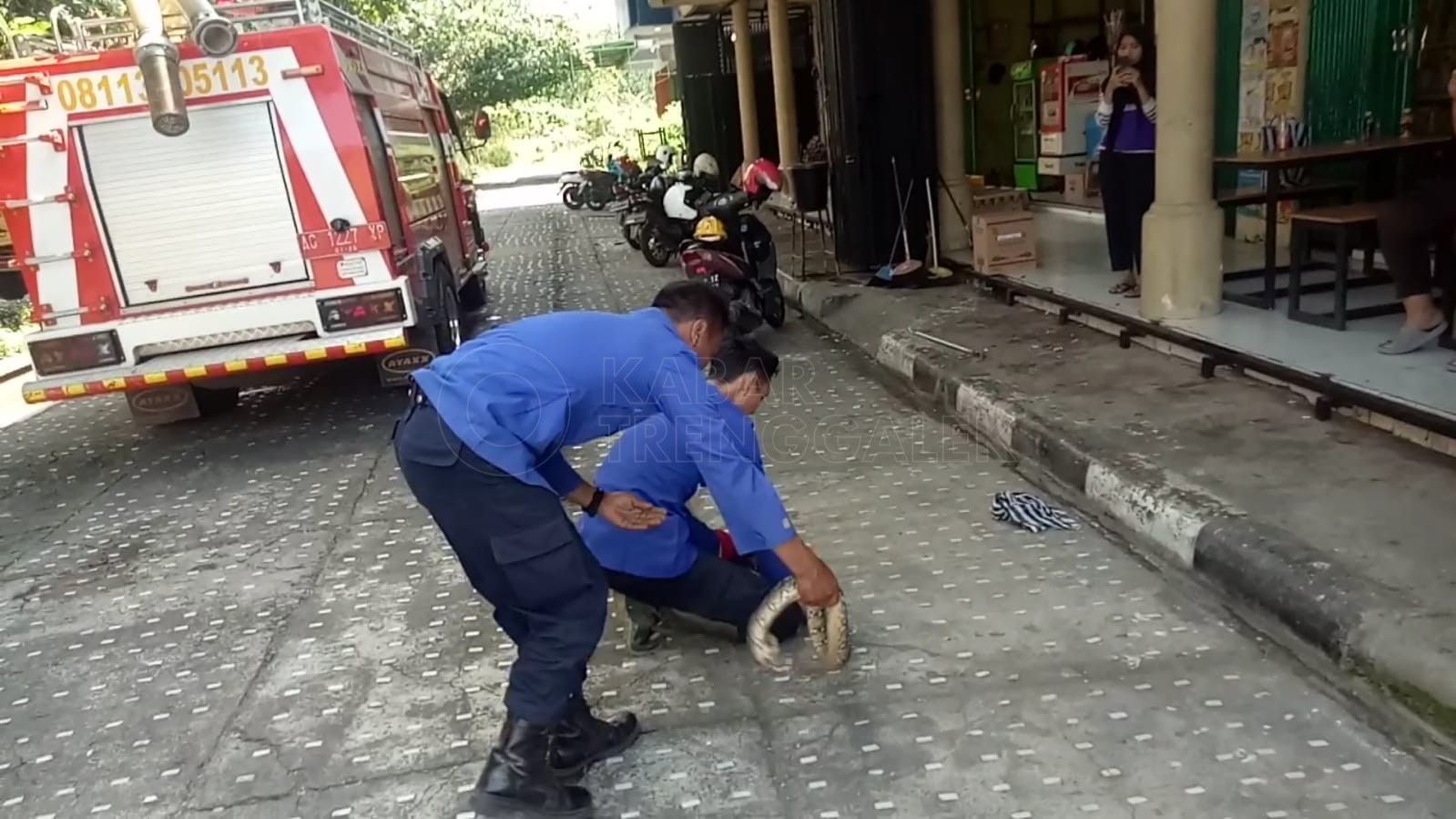 Detik Detik Damkar Trenggalek Evakuasi Ular Phyton Masuk dalam Dashboard Motor 2 Pemadam Kebakaran Trenggalek evakuasi ular phyton