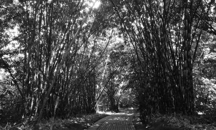 17 Nama Hantu di Jawa Timur, Siapa yang Paling Menakutkan? 9 Penampakan hantu Ongklek-ongklek