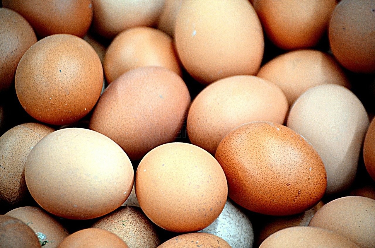 Kandungan Nutrisi dalam Telur 1 Telur Ayam Negeri
