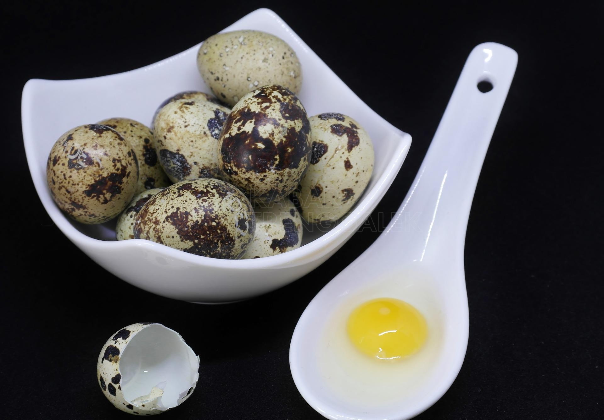 Kandungan Nutrisi dalam Telur 4 Telur Puyuh