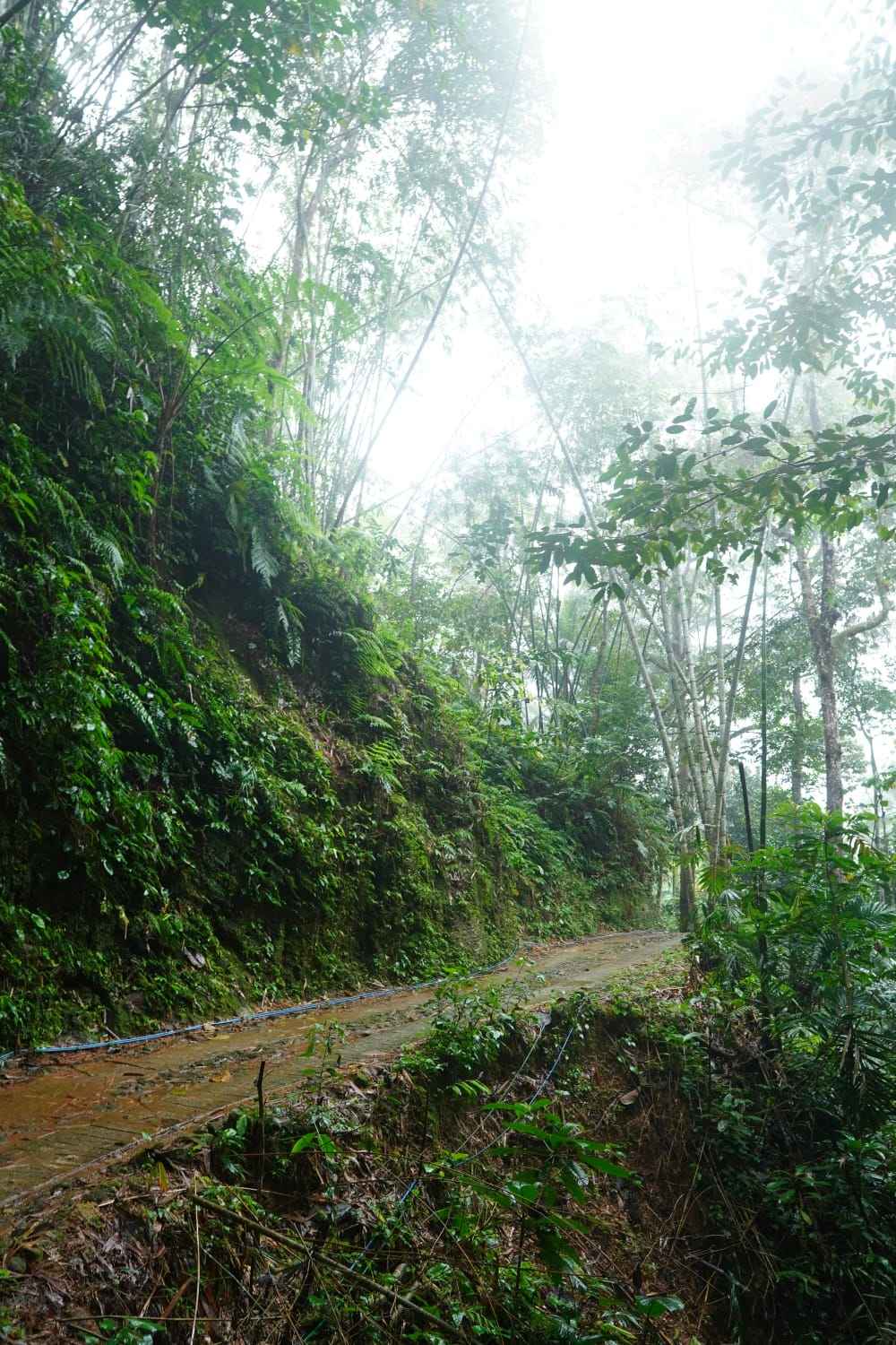 Lomba Jelajah Alam, 600 Peserta dari Jawa hingga Papua Menikmati Alam Watulimo Trenggalek 1 Bentang alam Desa Dukuh Kecamatan Watulimo Trenggalek jalur LJA LBPS IX