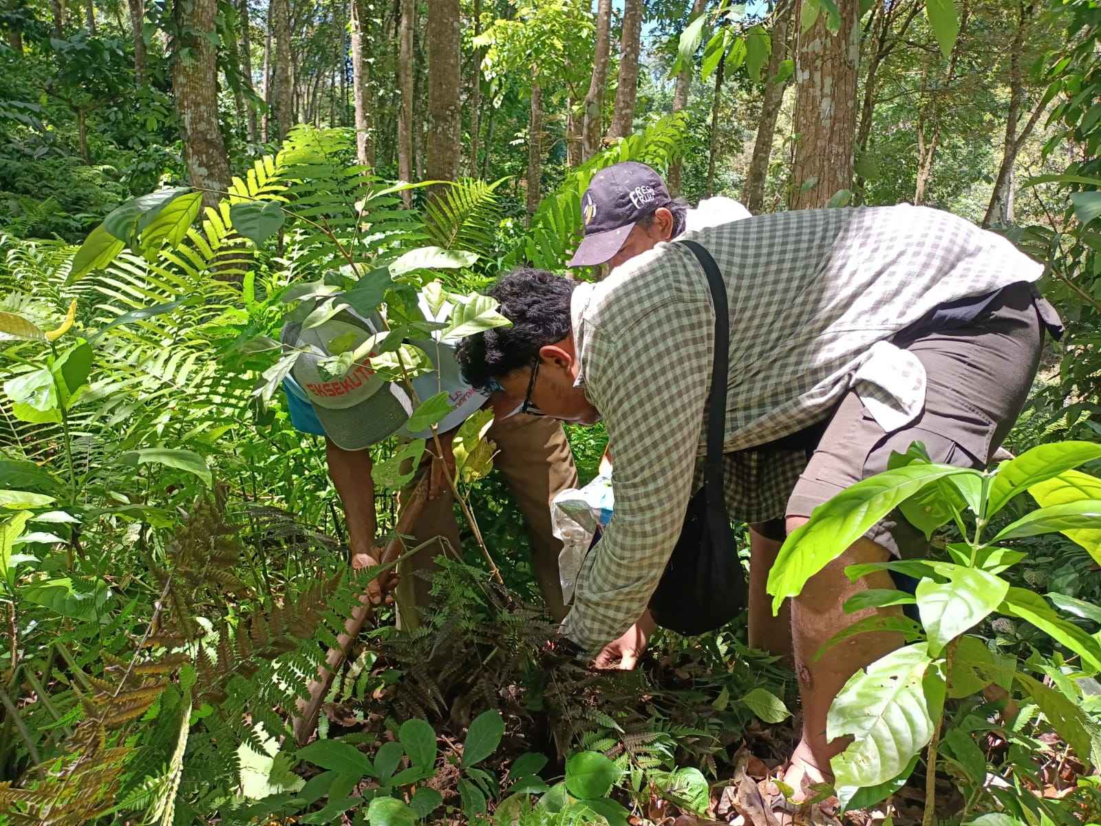 Rukun Tani Sumberejo Pakel Menanam Bersama di Area Lindung Lahan Reklaiming 3 Wahyu Eka Setyawan kanan Direktur WALHI Jatim menanam pohon di lahan reklaiming Desa Pakel Banyuwangi