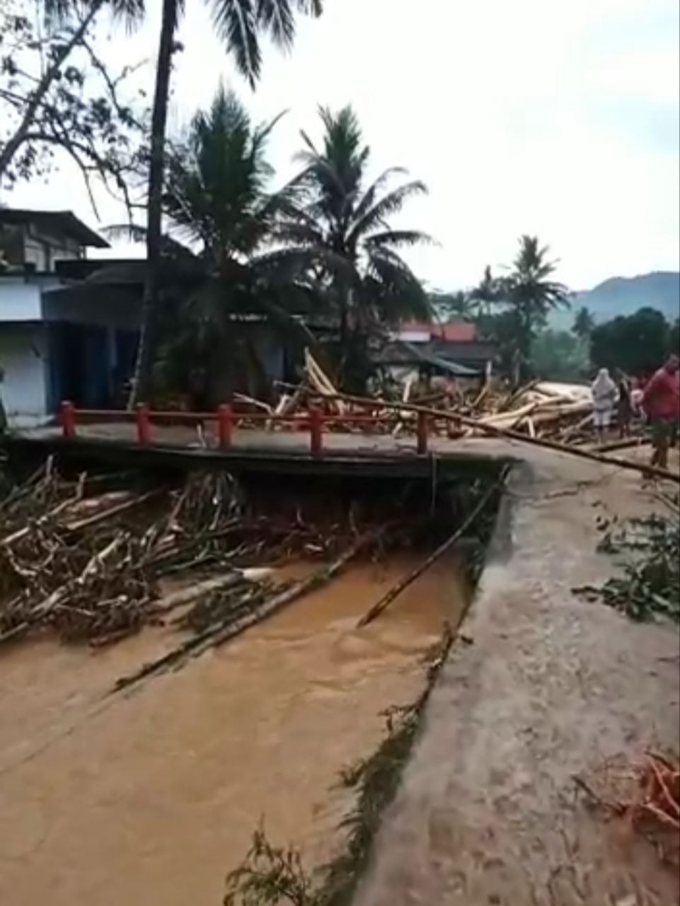 Banjir Bandang di Watulimo Trenggalek, Jalan Tak Bisa Dilewati, Rumah Hancur dan Warga Kesulitan Makan 2 Banjir bandang membawa material kayu di jembatan Tasikmadu