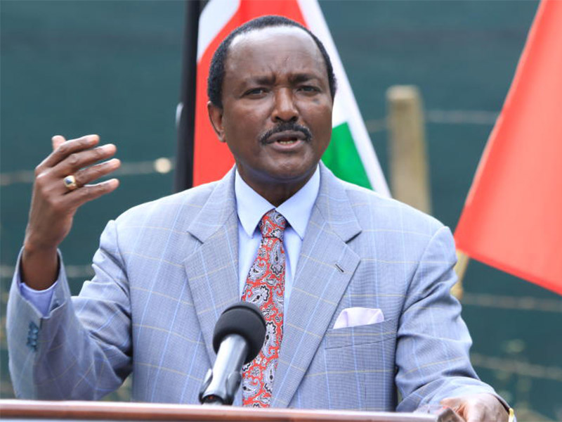 Kalonzo Musyoka Biography, age, tribe, education, career, wife