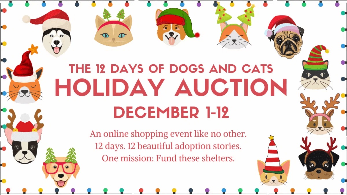 Three Rivers Humane Society in Madras holding '12 Days of Dogs and Cats