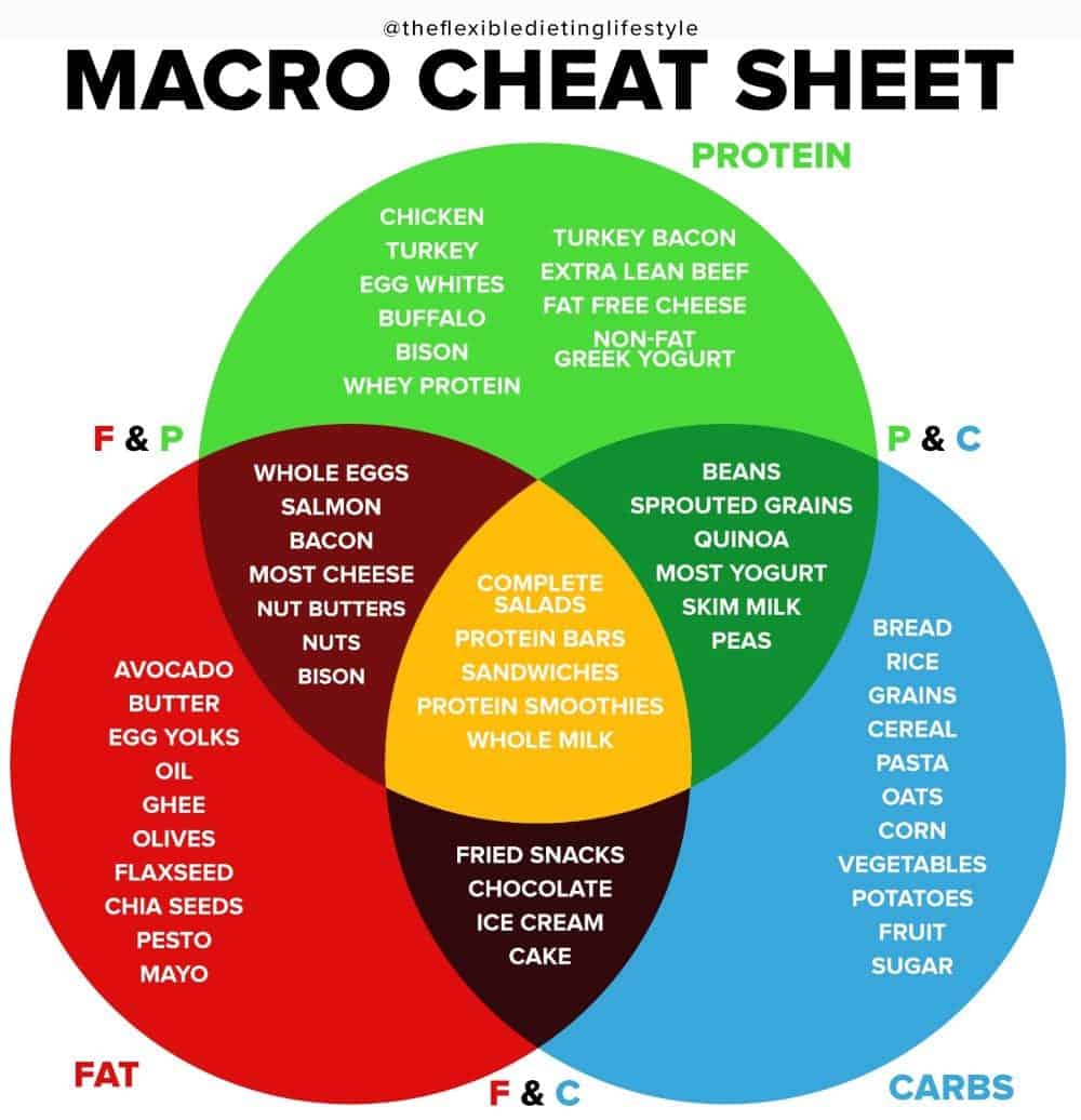 The Science Of Fat Loss What Are Macros And Tracking Macros Vs Just Tracking Calories Lauren Fit Foodie
