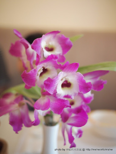 【食記】台中西屯-FiFi ITALIANO RESTAURANT FiFi義大利麵-FiFi GARDEN 菲菲花園 : 簡約恬靜的巷弄人氣餐館! 區域 台中市 披薩 焗烤 義式 西屯區 飲食/食記/吃吃喝喝 麵食類