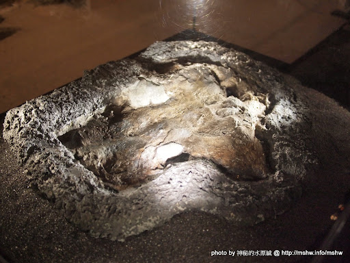 【景點】地球上最古老的恐龍展@台北中正紀念堂 : 恐龍這東西還真複雜阿 中正區 區域 博物館 台北市 嗜好 廣告 新聞與政治 旅行 會展 歷史 自然科學