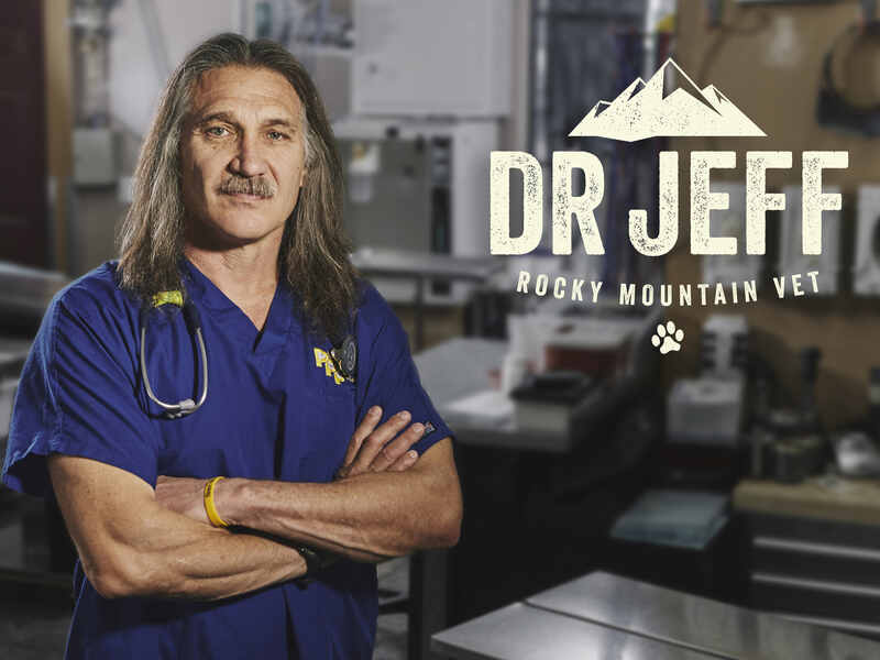 Dr. Jeff Vet Dies Is He Alive?