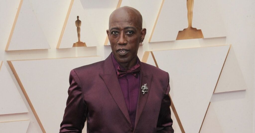 Is Wesley Snipes Sick? He Looked Thin During The Oscar Ceremony