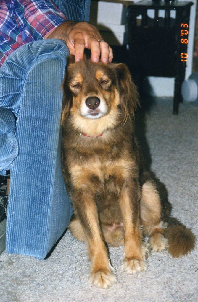 Harvey Harvey passed away several years ago at the too you… Flickr