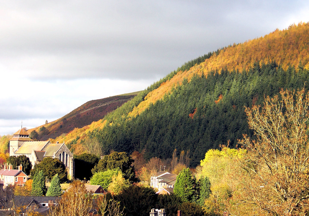 Autumn Kinsley Wood, Knighton, Powys Judy Flickr