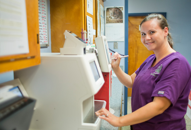 Hospital Tour Locke A. Taylor Veterinary Hospital