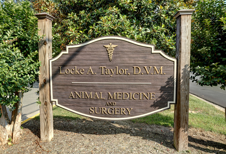 Hospital Tour Locke A. Taylor Veterinary Hospital