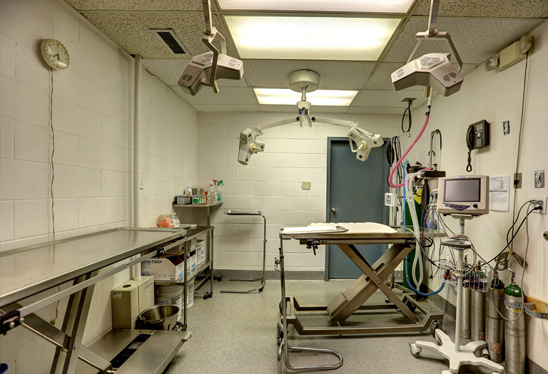 Hospital Tour Locke A. Taylor Veterinary Hospital