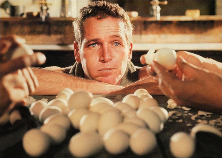 Cool Hand Luke (1967) Great Movies