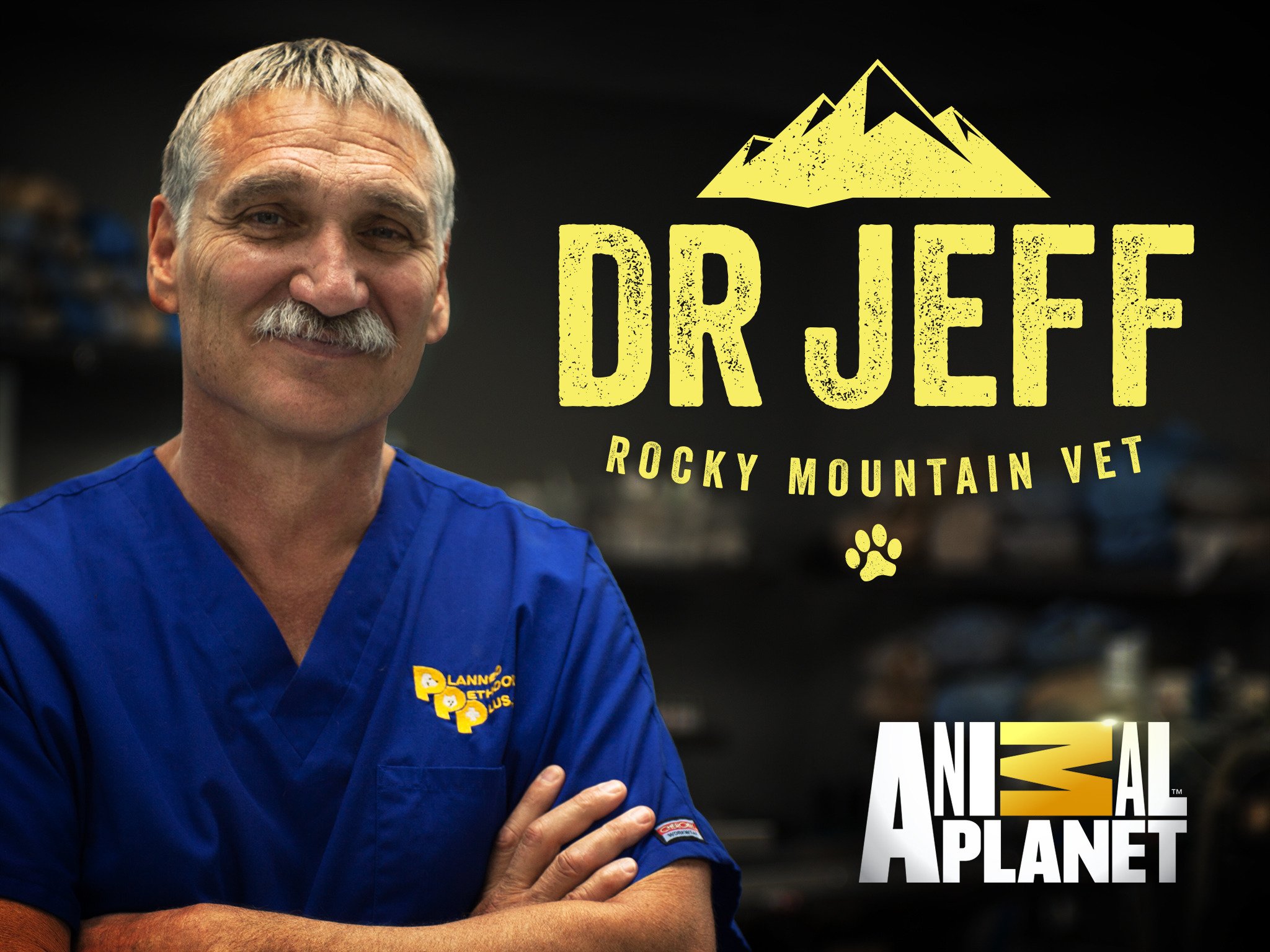 Is Dr Jeff Rocky Mountain Vet Season 8? Your daily dose of News & Updates