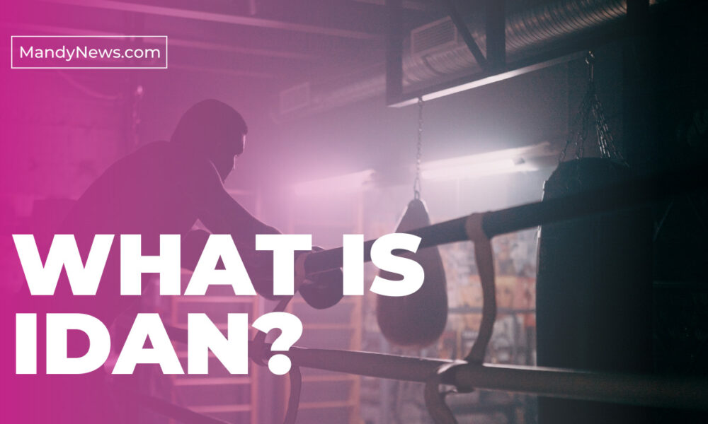 Idan Meaning In English A Trending New Nigerian Slang
