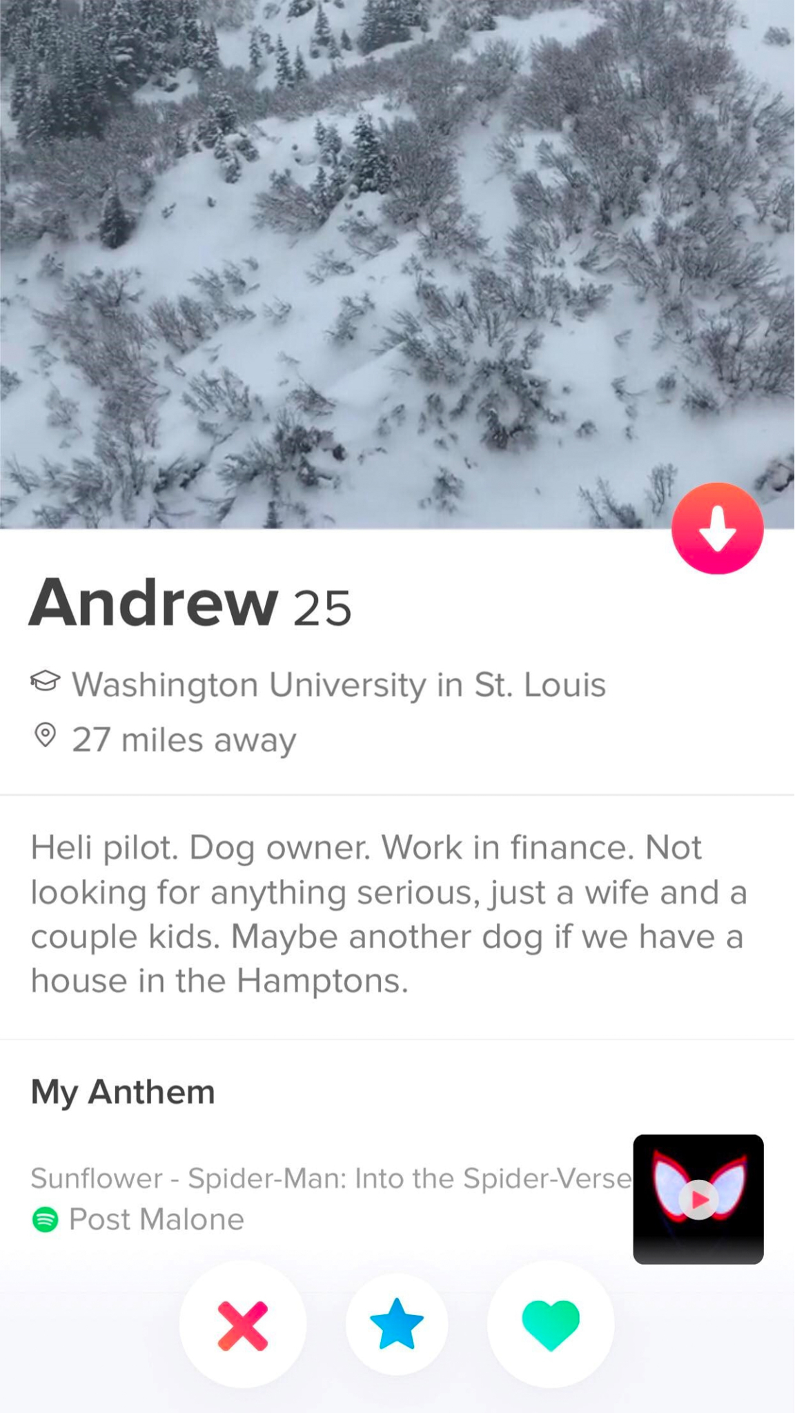 50+ Funny Tinder Bios for Guys Man of Many