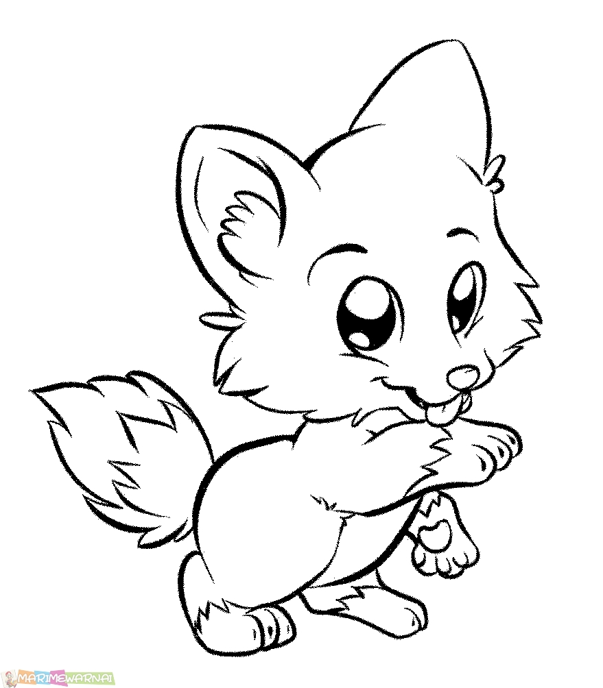 Sketsa Gambar Hewan Imut