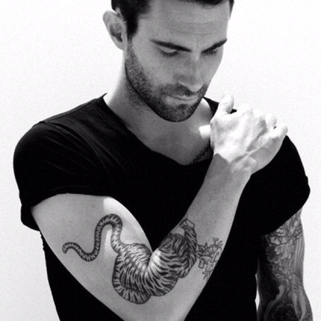 Adam Levine tiger tattoo...oohh yah!! Classic Ink Pinterest