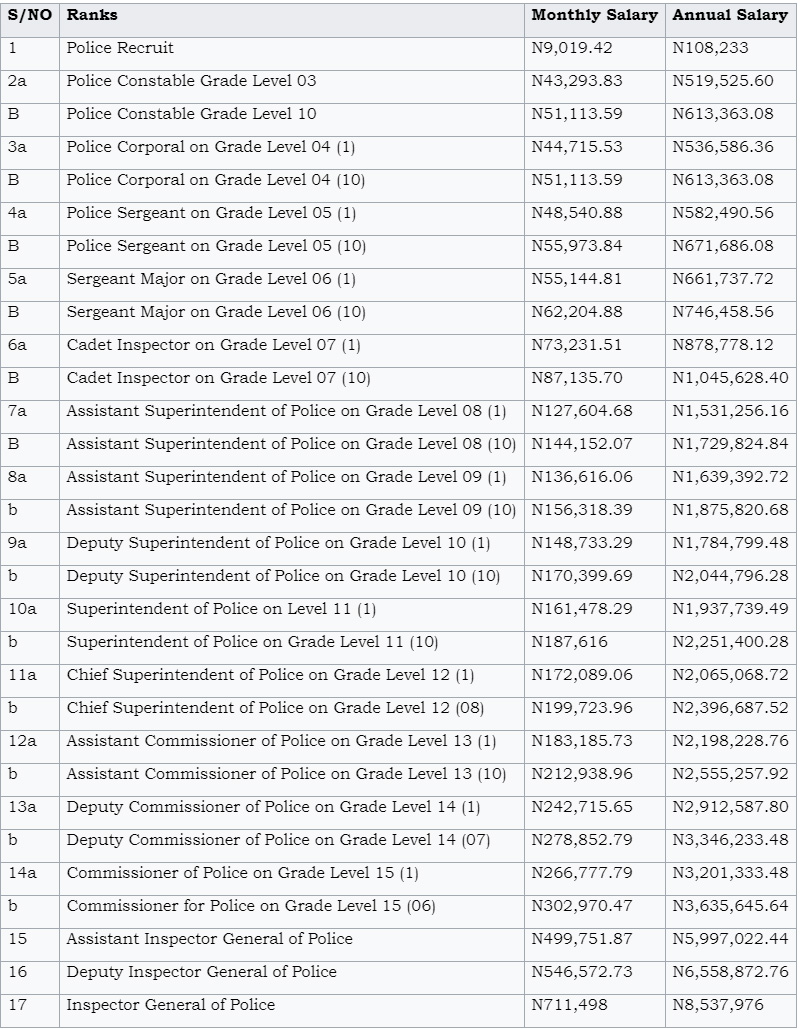 Endsars Analysis Poor Remuneration And Its Contribution To Excesses Of Nigerian Police Officers The Street Journal