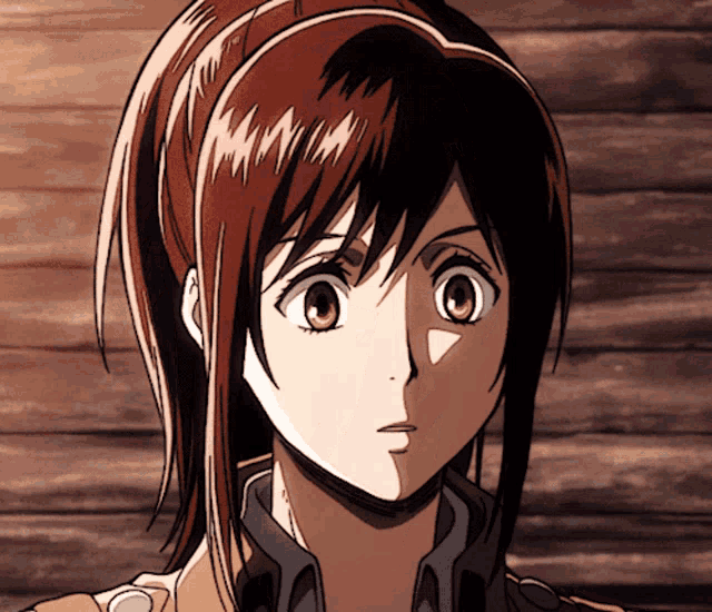 Attack On Titan Sasha Braus GIF Attack On Titan Sasha Braus Anime