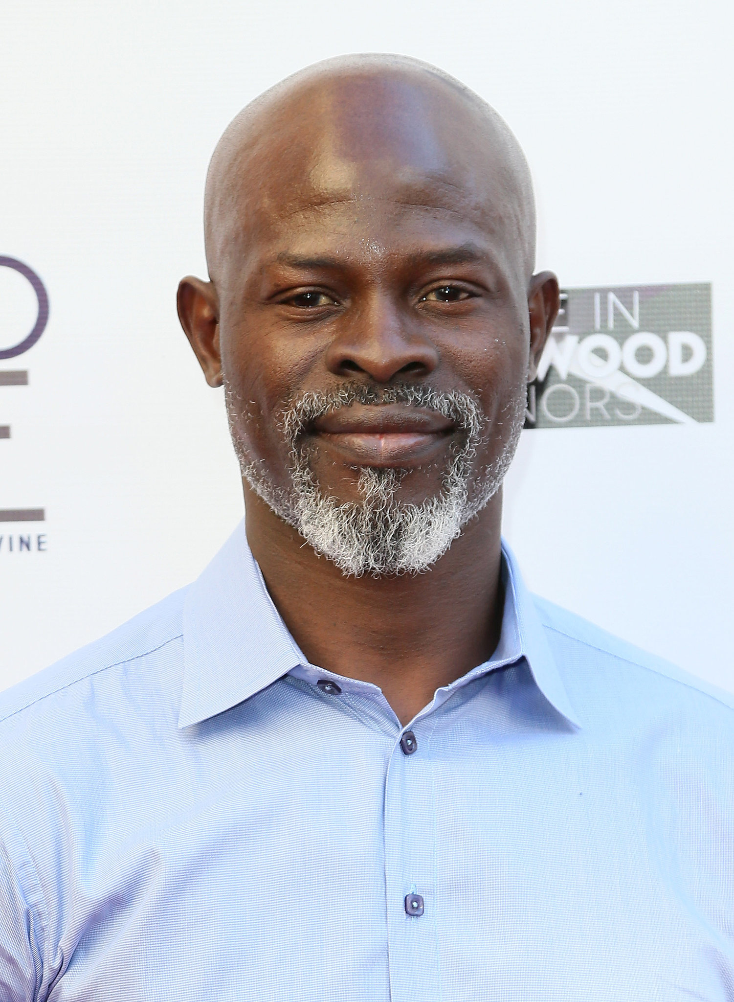 Djimon Hounsou 45 Famous, Sexy Silver Foxes POPSUGAR Celebrity