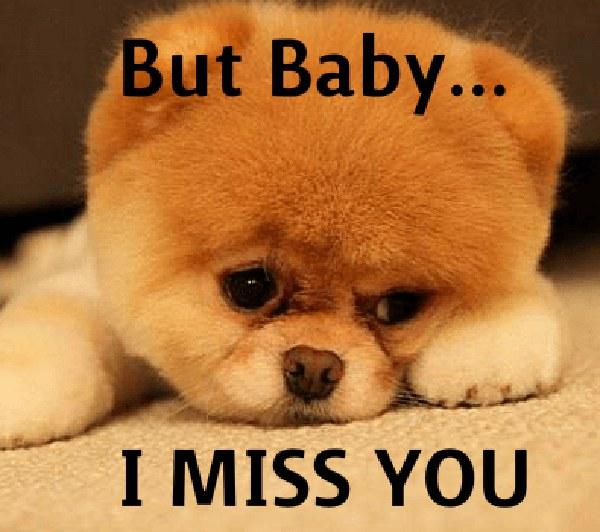 57 I Miss You Meme Meme Central