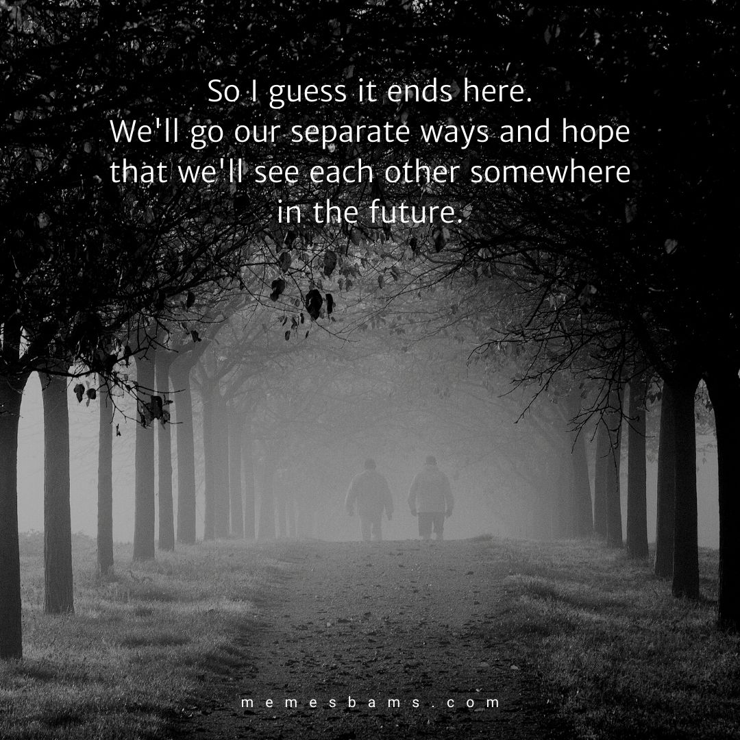 Saying Goodbye To a Friend 134 Farewell Quotes for Friendship
