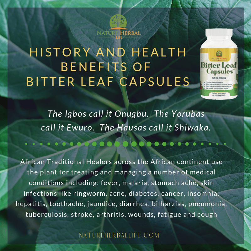History and Health Benefits of Bitter Leaf. by Bitter Leaf Medium