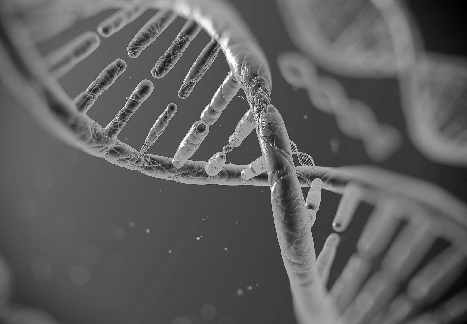 DNA Matches who are we searching for? MIXED GENES