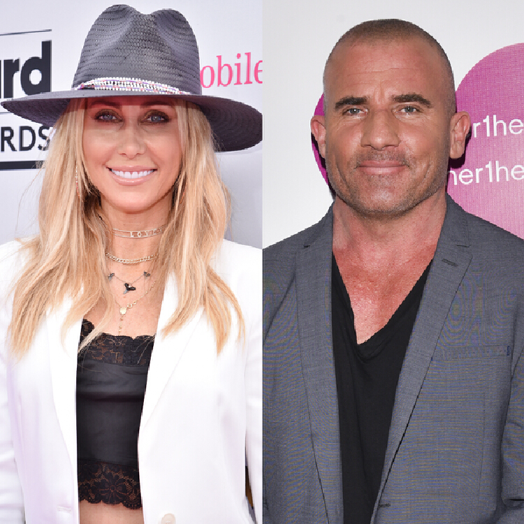 Tish Cyrus Debuts Romance With Dominic Purcell After Billy Ray Cyrus
