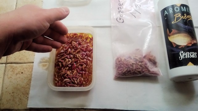 Gozzers Et Asticots Congeles Et Sucres Pour L Hamecon