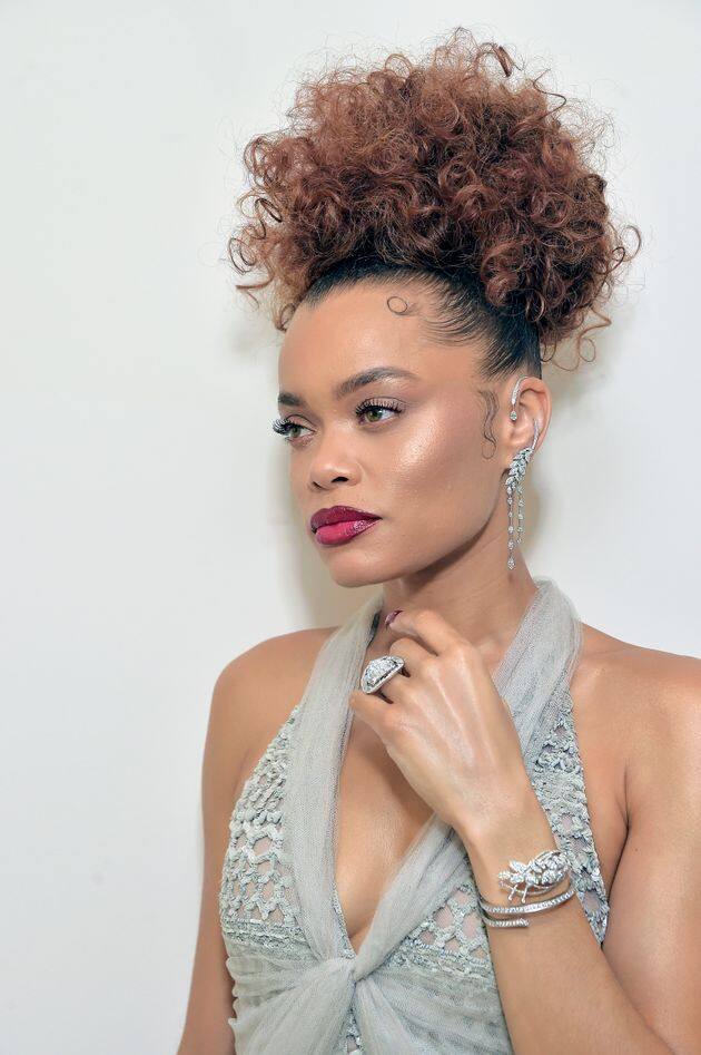 Andra Day husband, age, ethnicity, weight loss, relationships, net worth