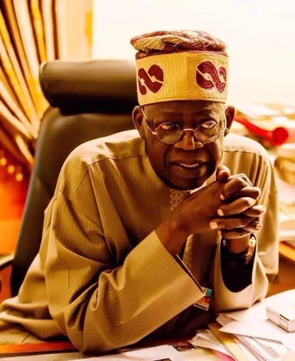 Meaning of Jagaban facts you should know Legit.ng