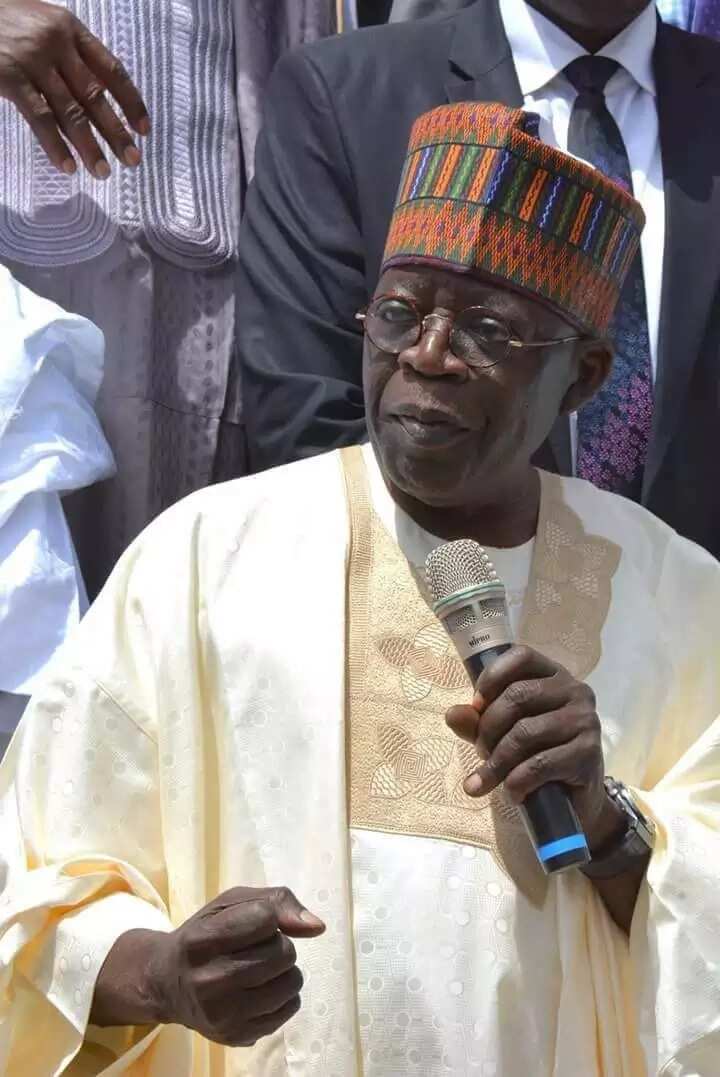 Meaning of Jagaban facts you should know Legit.ng