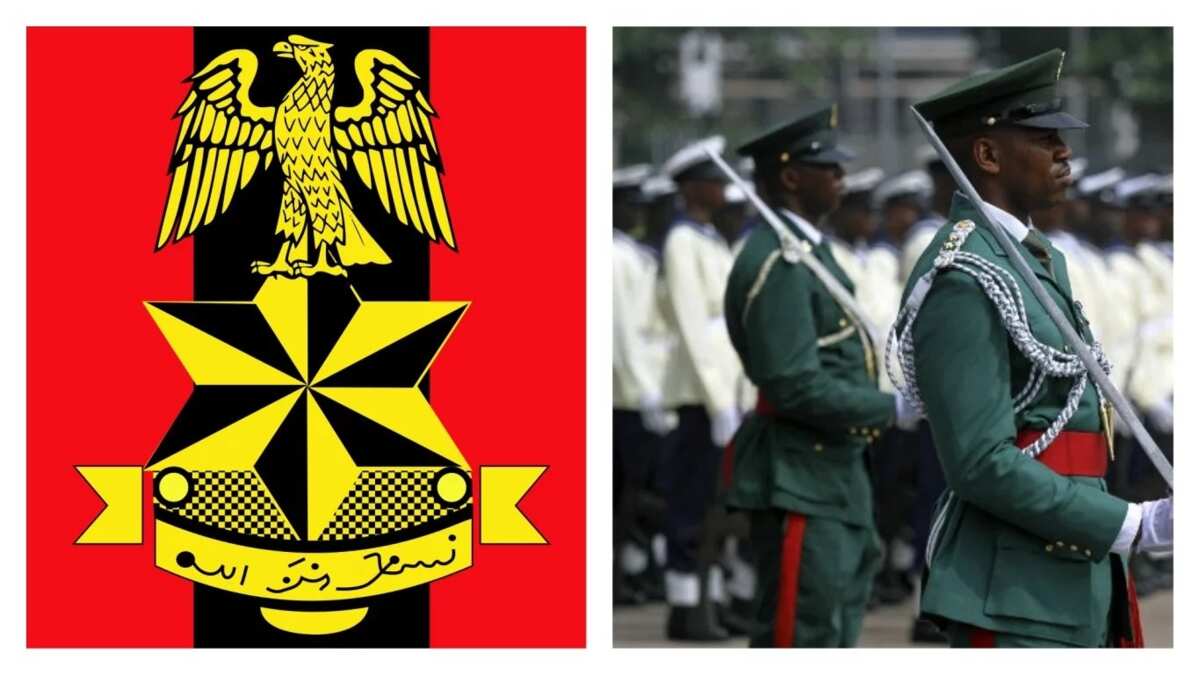 Nigerian Army ranks and symbols Legit.ng