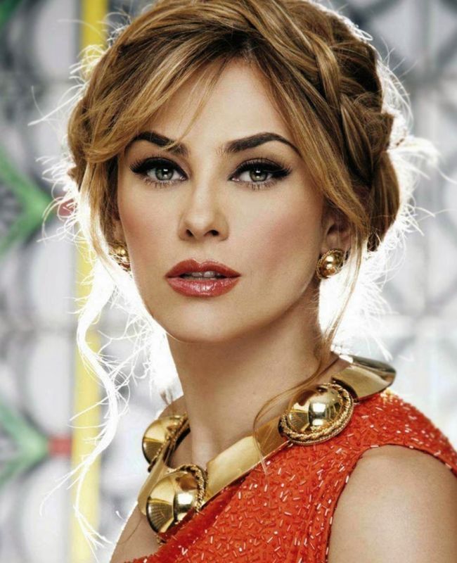 Aracely Arámbula Salary, Net worth, Bio, Ethnicity, Age Networth and