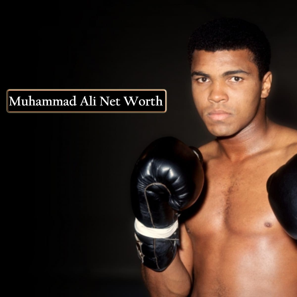 Muhammad Ali net worth 2022 Earning, Bio, Age, Height, Career